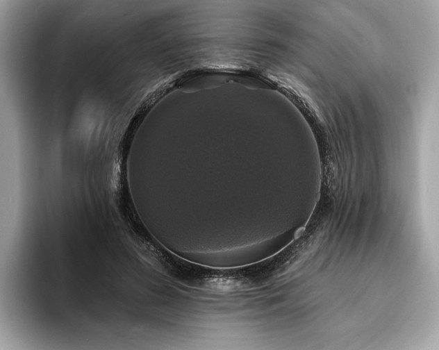 X0000093740596200710161140