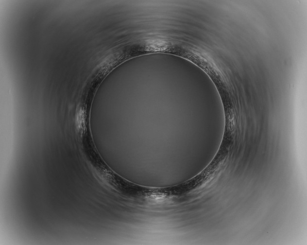 X0000093740598200710161140
