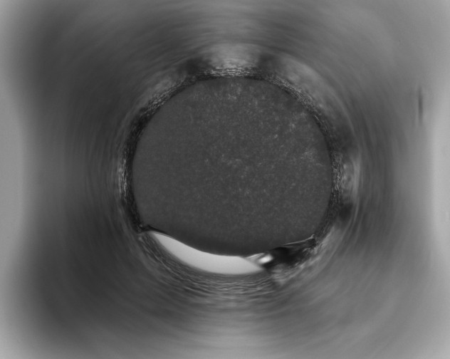 X0000093740599200710161140
