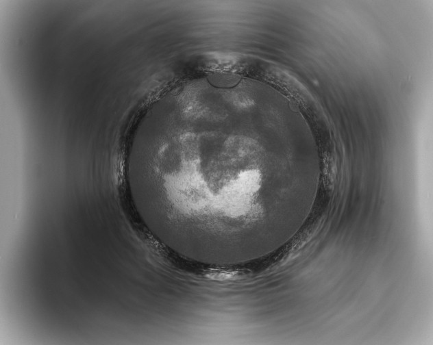 X0000093740602200710161140