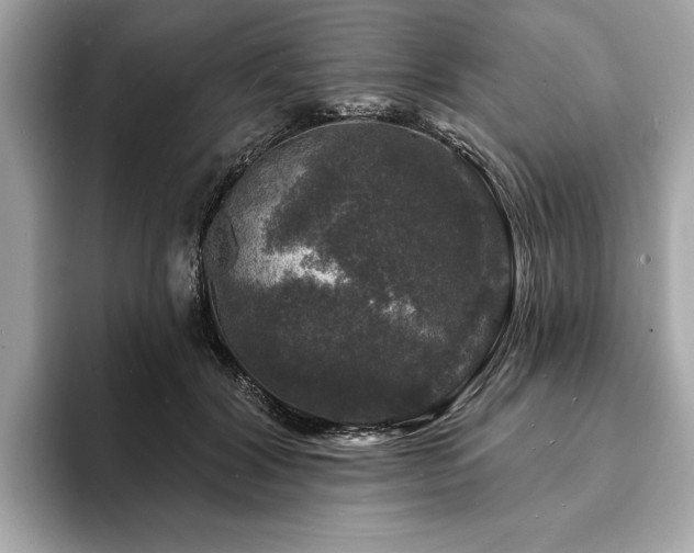 X0000093740604200710161140