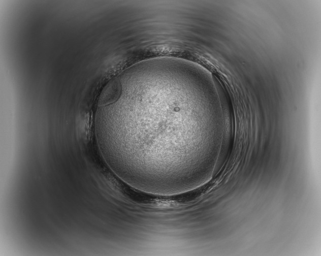 X0000093740605200710161140