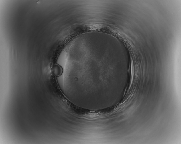 X0000093740608200710161140