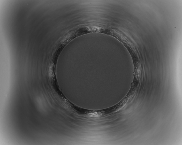 X0000093740616200710161140