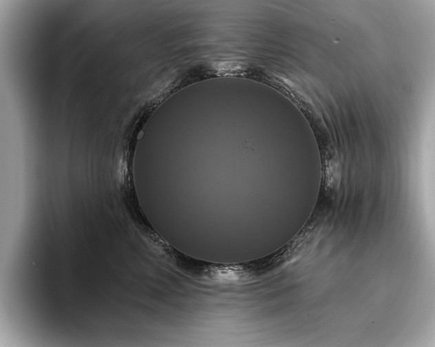 X0000093740618200710161140