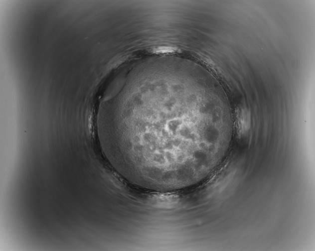 X0000093740619200710161140