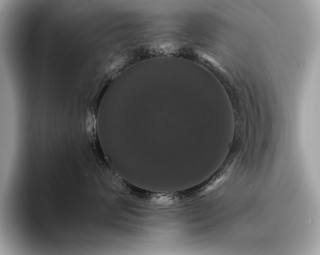 X0000093740624200710161140