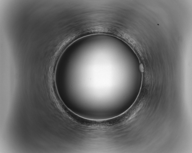 X0000093740625200710161139