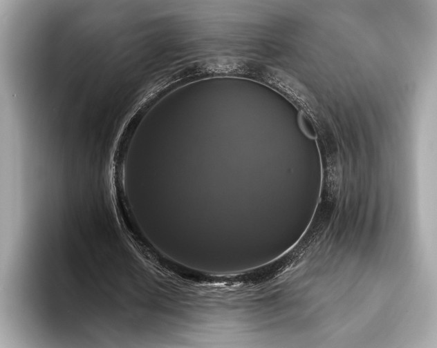 X0000093740626200710161139