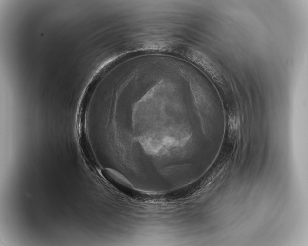X0000093740628200710161139