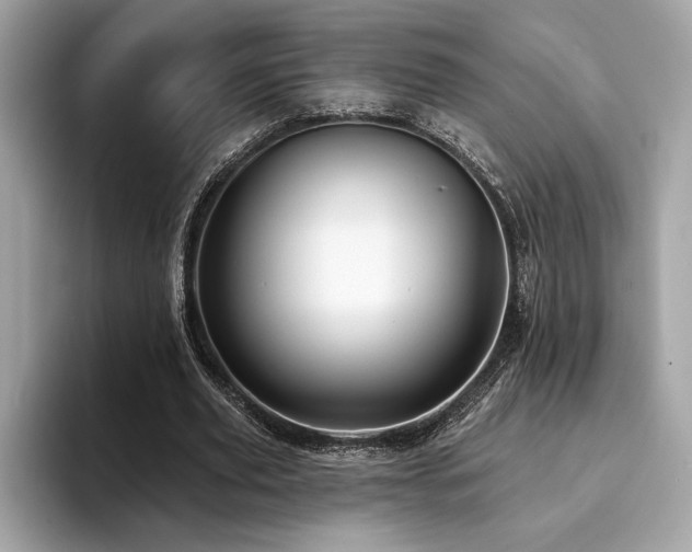 X0000093740629200710161139