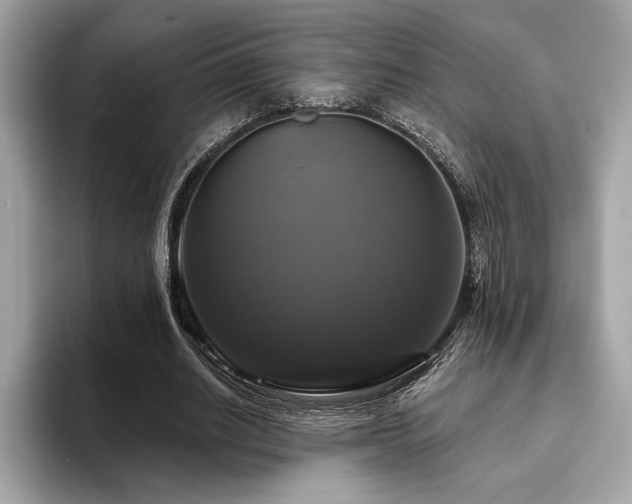 X0000093740630200710161139