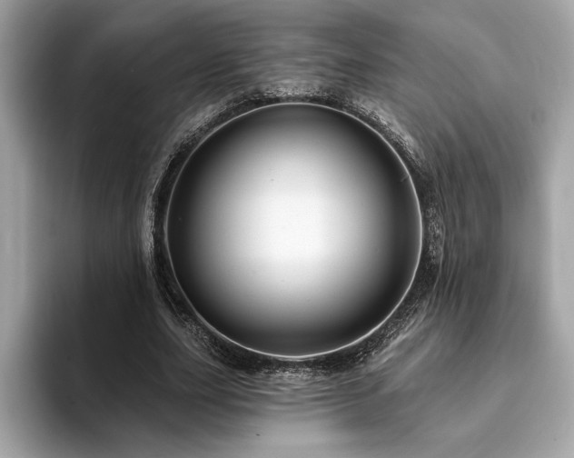 X0000093740631200710161139
