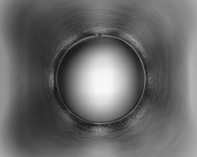 X0000093740633200710161139