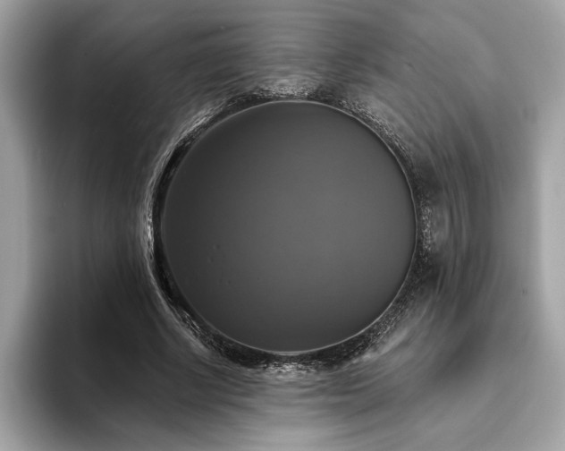 X0000093740634200710161139