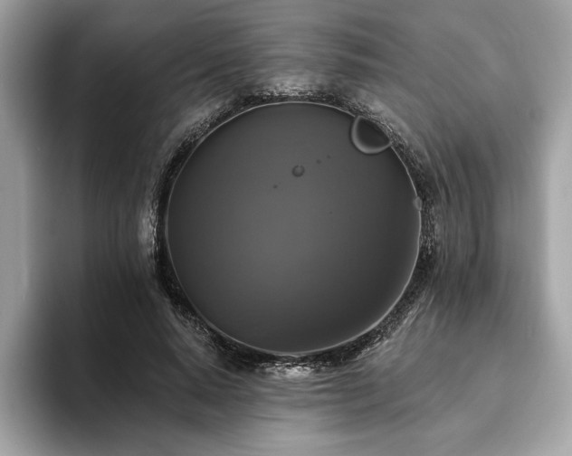 X0000093740640200710161139