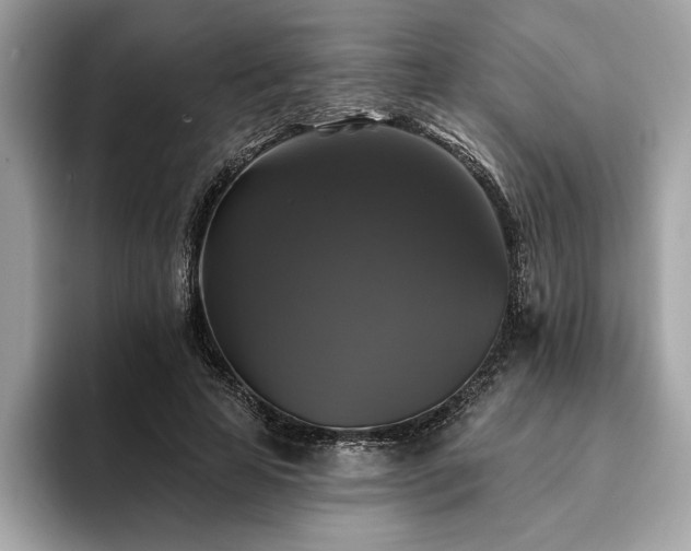 X0000093740641200710161139