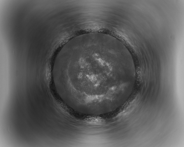 X0000093740642200710161139
