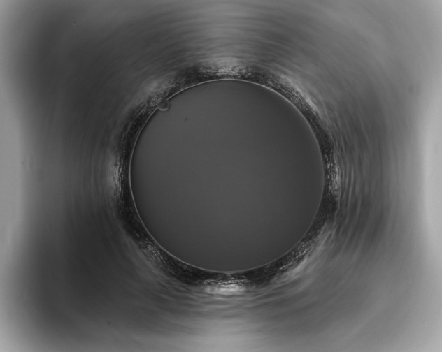 X0000093740643200710161139