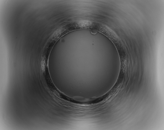 X0000093740644200710161139