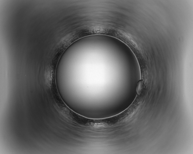 X0000093740645200710161139