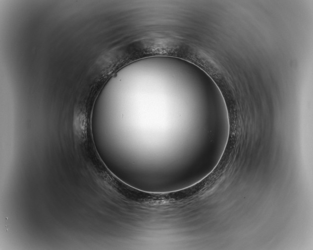 X0000093740646200710161139