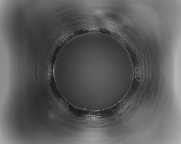 X0000093740648200710161140