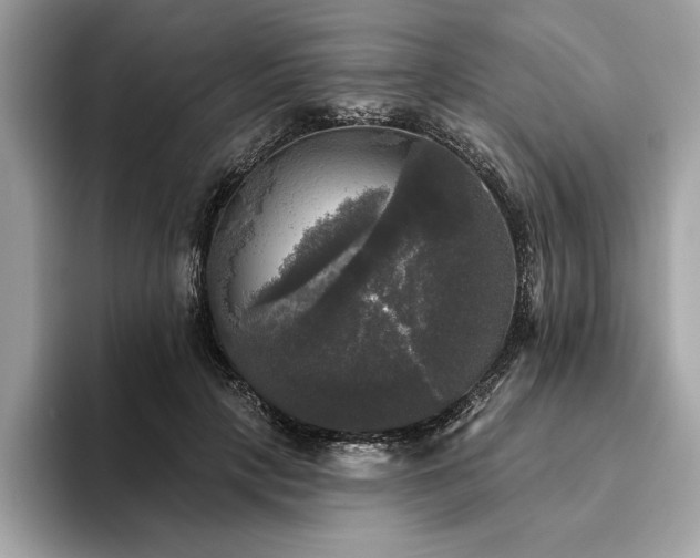 X0000093740649200710161140