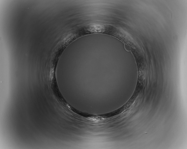 X0000093740652200710161140