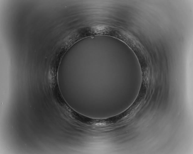 X0000093740653200710161140