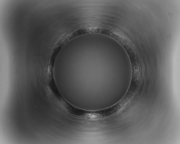 X0000093740654200710161140