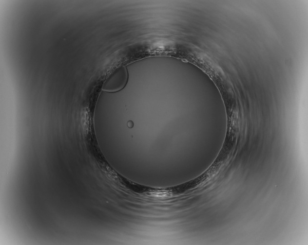 X0000093740659200710161140