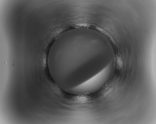 X0000093740668200710161140