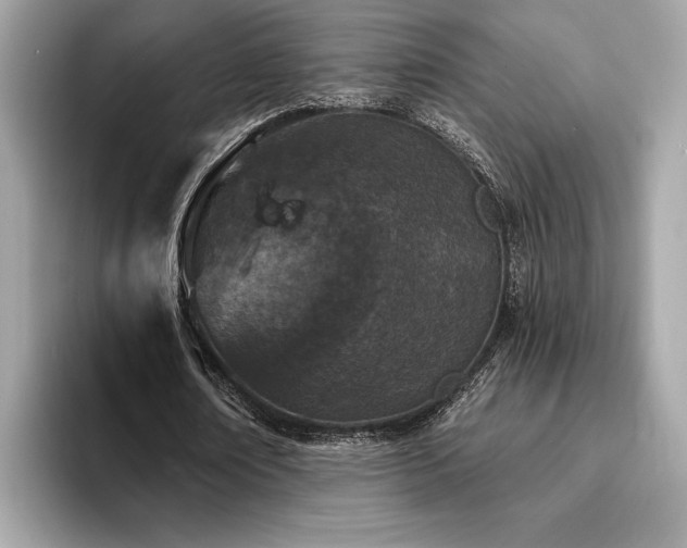 X0000093740674200710161139