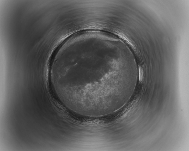X0000093740675200710161139