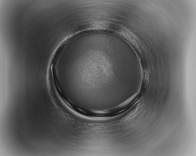 X0000093740676200710161139