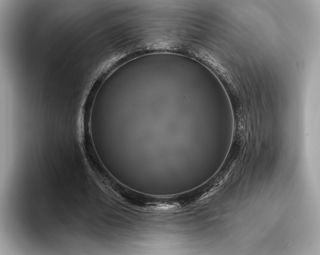 X0000093740678200710161139