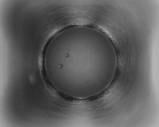 X0000093740679200710161139