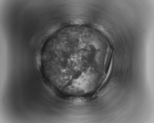X0000093740683200710161139