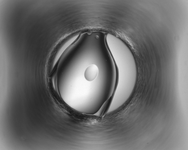 X0000093740684200710161139