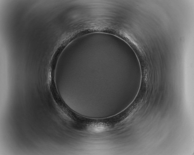X0000093740685200710161139