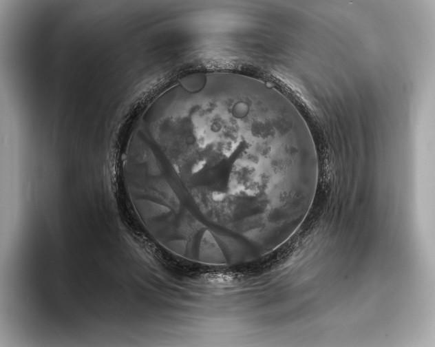 X0000093740687200710161139