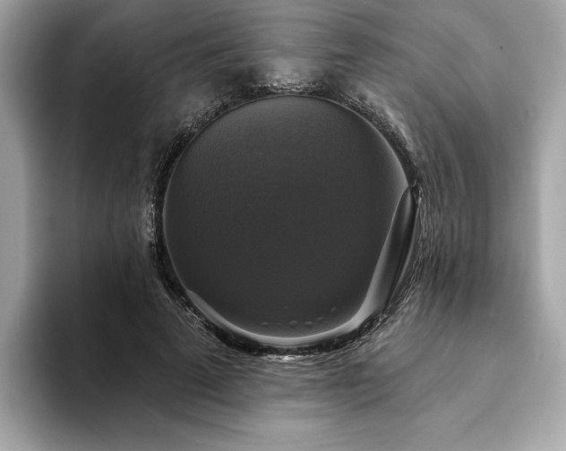 X0000093740689200710161139