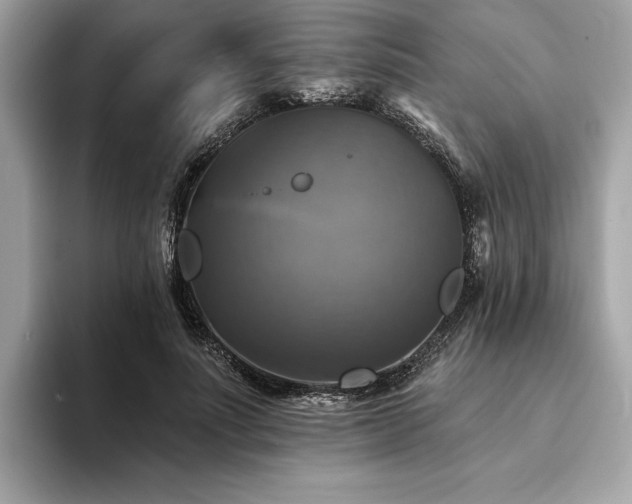 X0000093740691200710161139