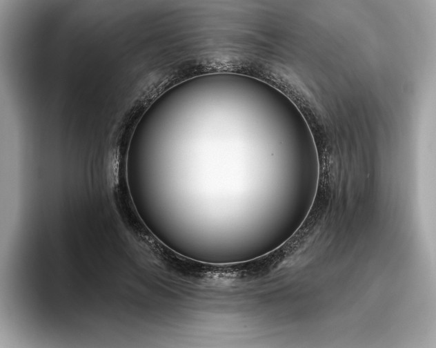 X0000093740694200710161139