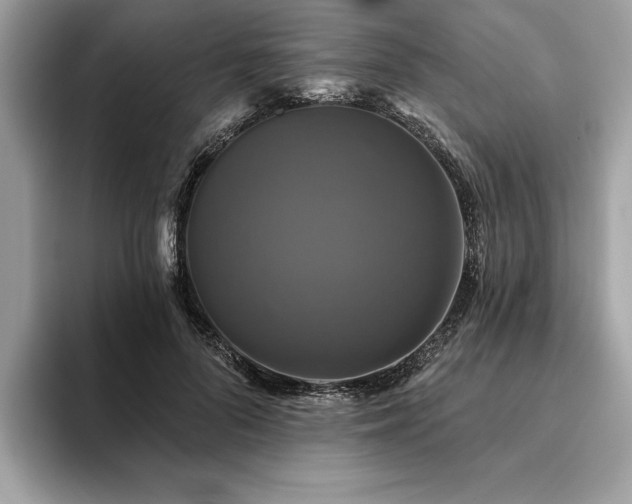 X0000093740696200710161139