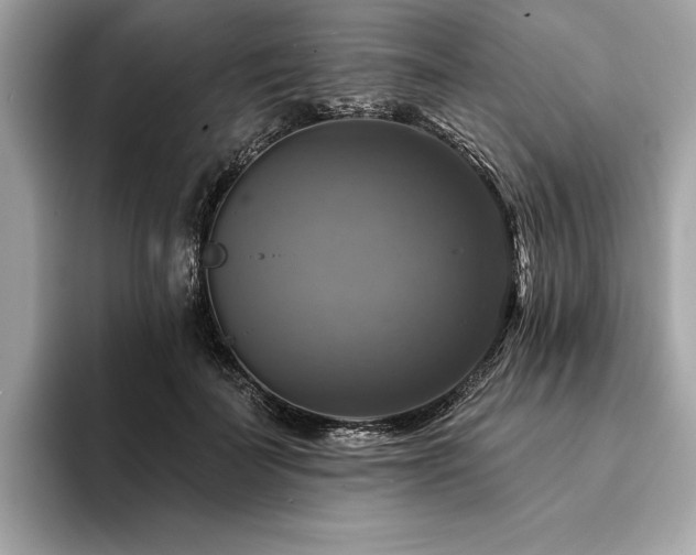 X0000093740699200710161139
