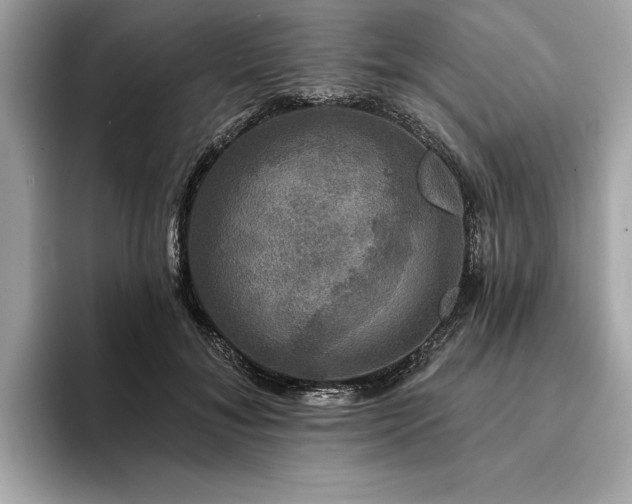 X0000093740700200710161139