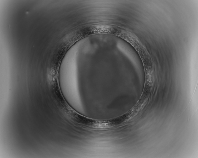 X0000093740701200710161139