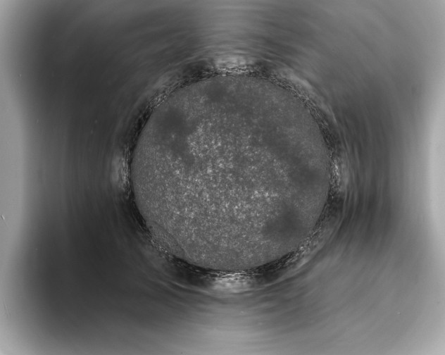 X0000093740705200710161139